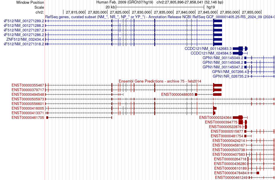 gene isoform structure of ZNF512