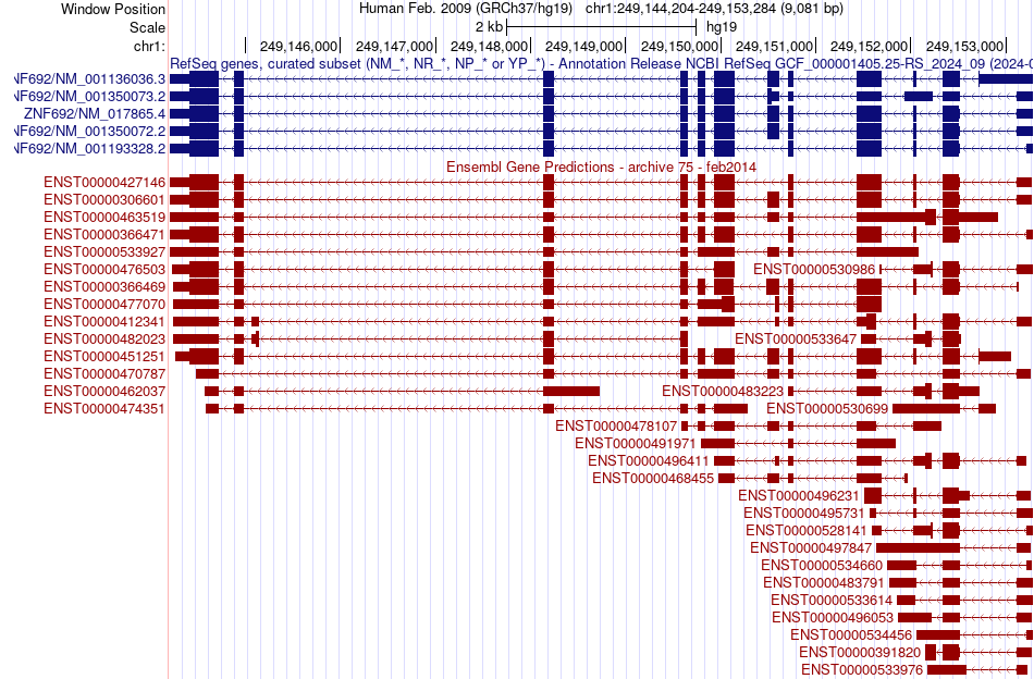 gene isoform structure of ZNF692