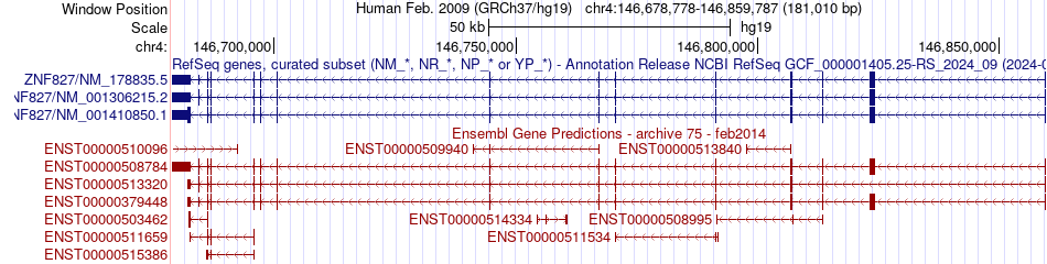 gene isoform structure of ZNF827