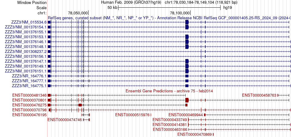 gene isoform structure of ZZZ3