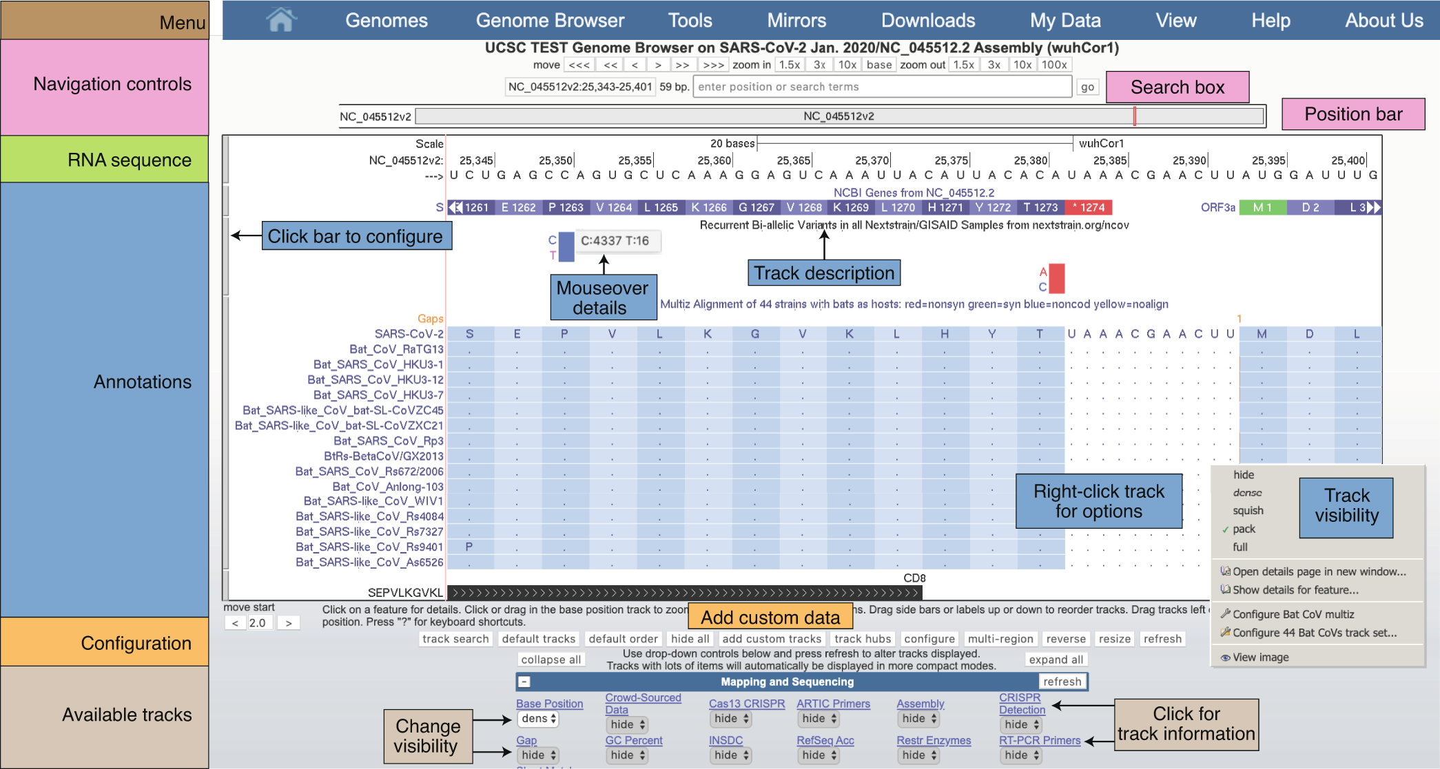 Labeled orientation to the Genome Browser