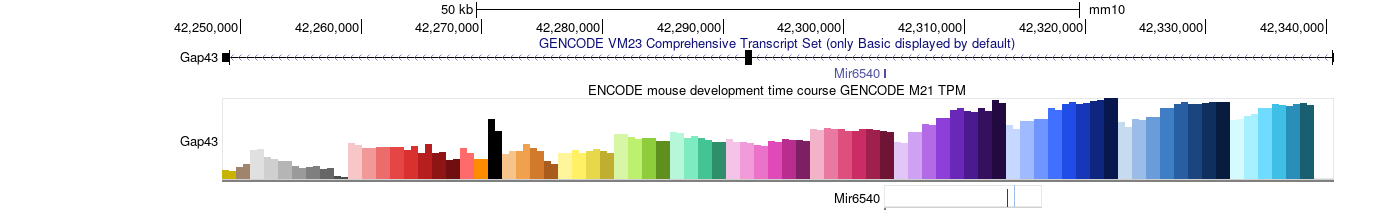 ENCODE Expression bar chart at the Gap43 locus on mm10