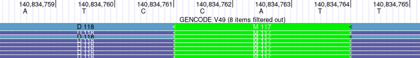 Genome bases C-A-T, codons do not match amino acid