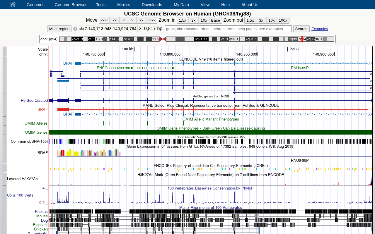 Genome Browser overview at BRAF