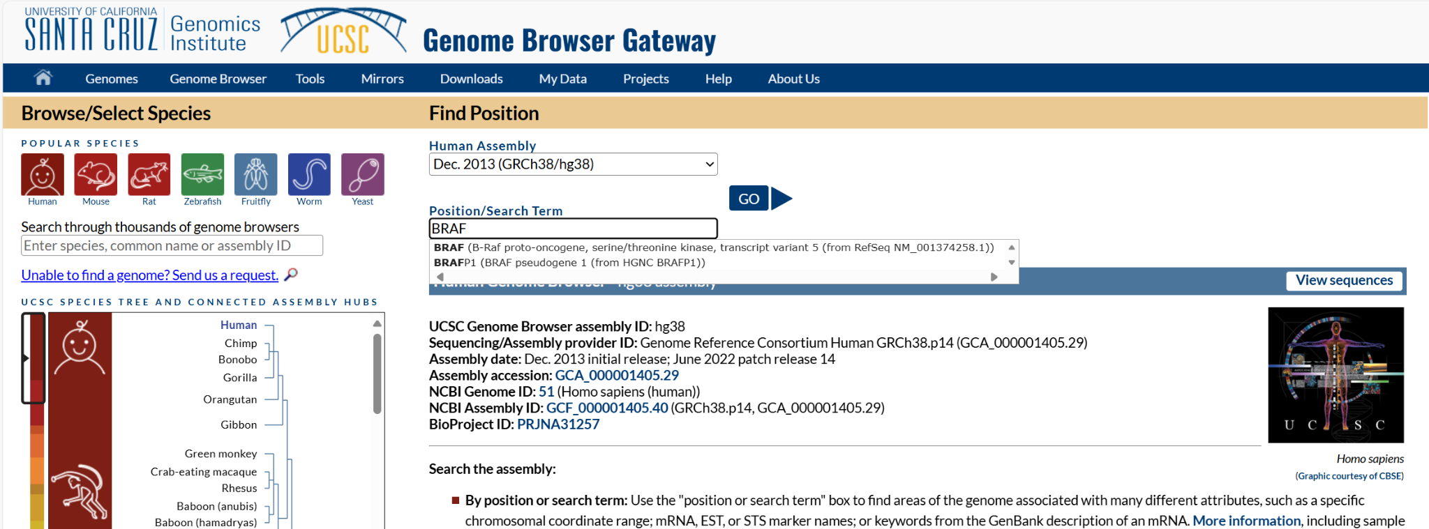 Gateway search example for BRAF