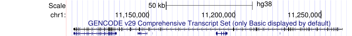 squish display mode