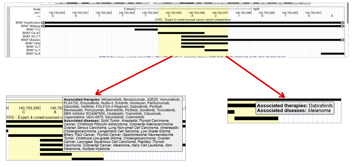 CIViC track with two variants pointing to their mouse-over tooltips