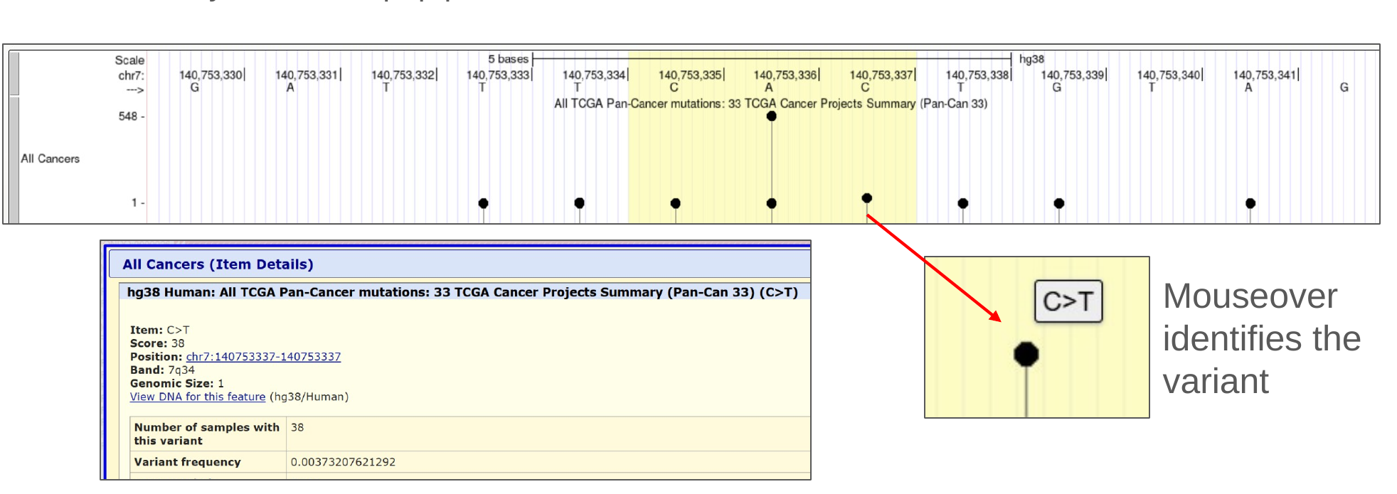 TCGA lollipop track, with a click to a variant's mouse-over and details page