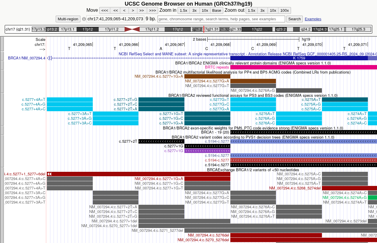 ENIGMA BRCA1/BRCA2 VCEP track set at a BRCA exon (hg19)