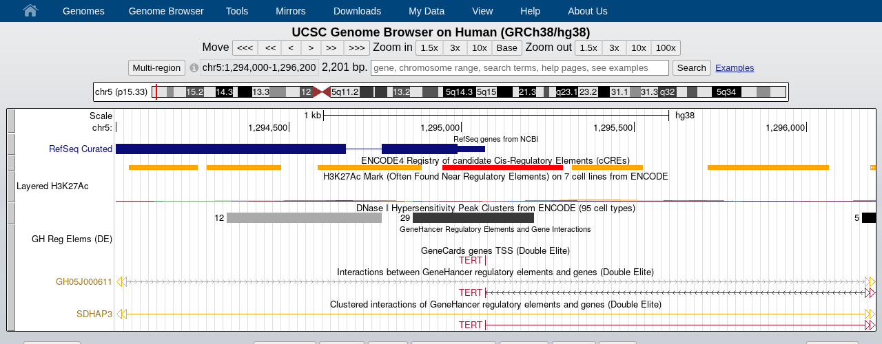 Active-promoter signals at TERT