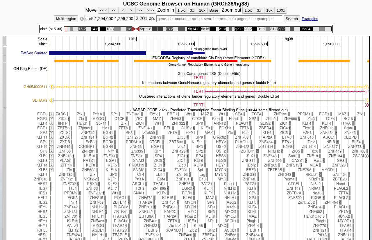 JASPAR TF sites, cCRE and GeneHancer at the TERT promoter