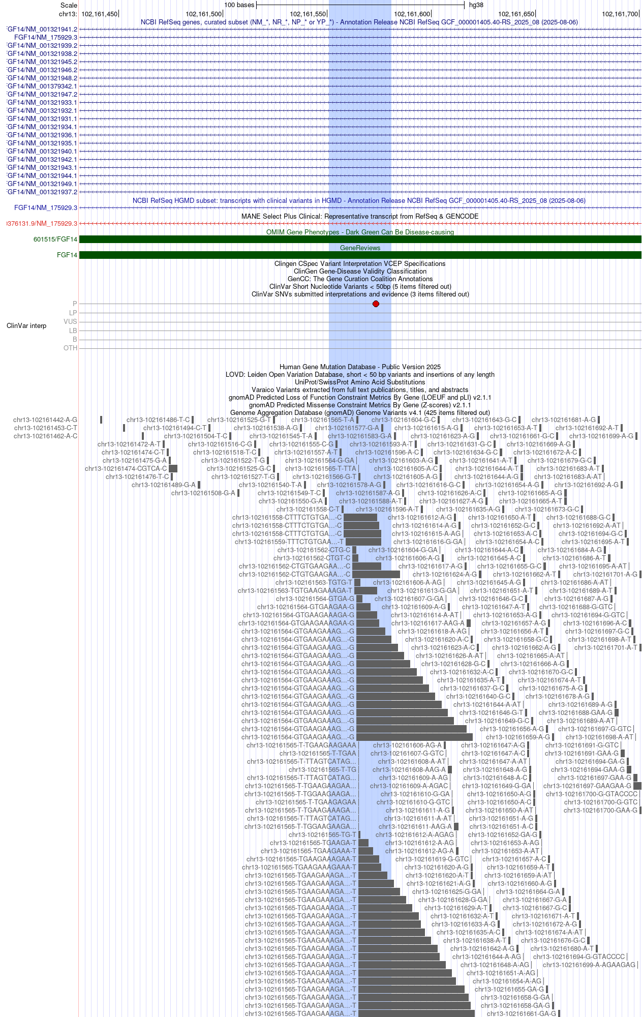 FGF14 GAA repeat-expansion locus on hg38