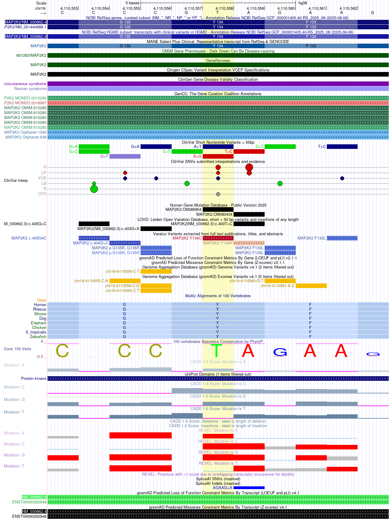 MAP2K2 c.401A>G missense on hg38