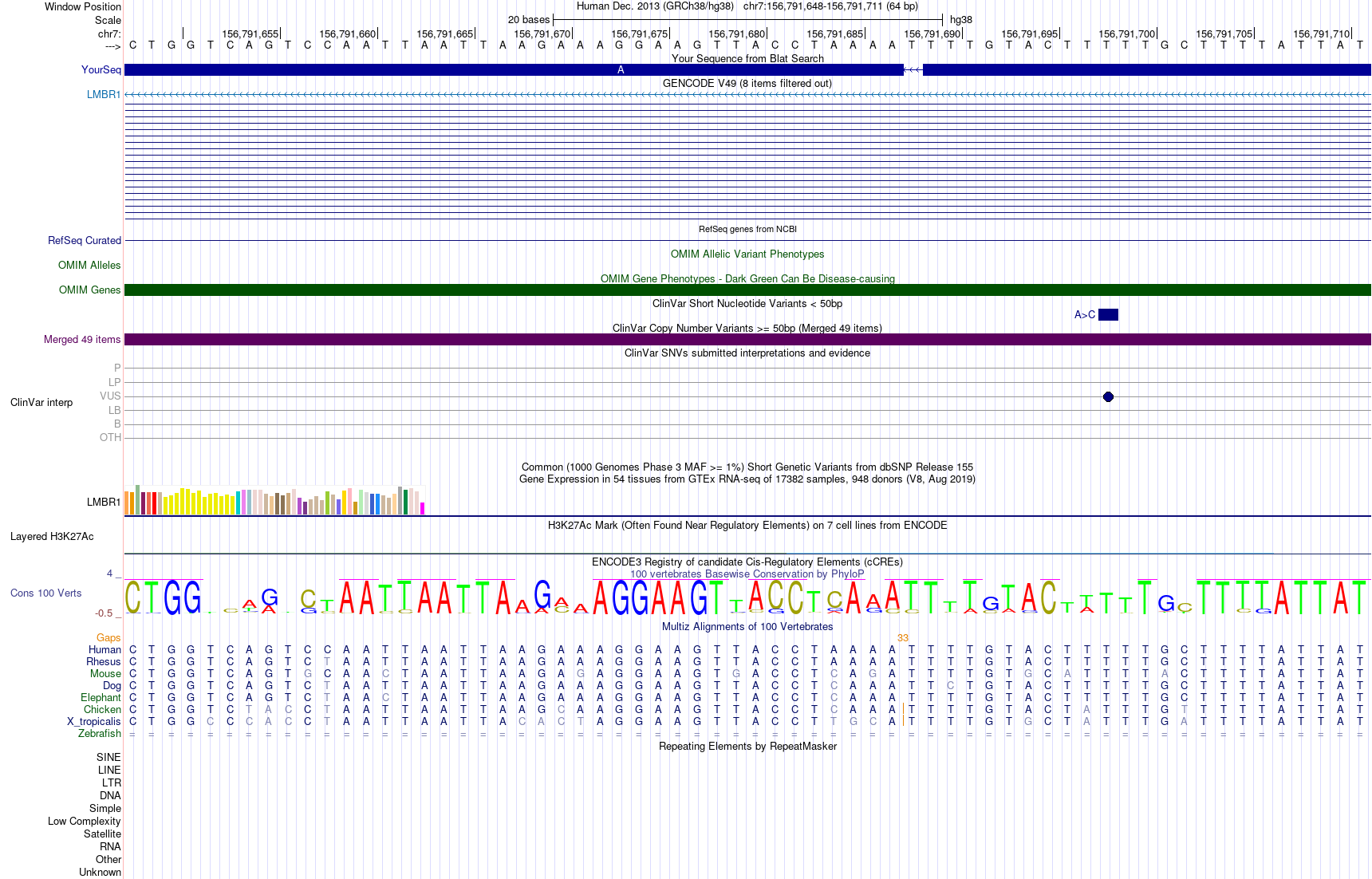 SHH ZRS enhancer variant in LMBR1 intron 5 on hg38