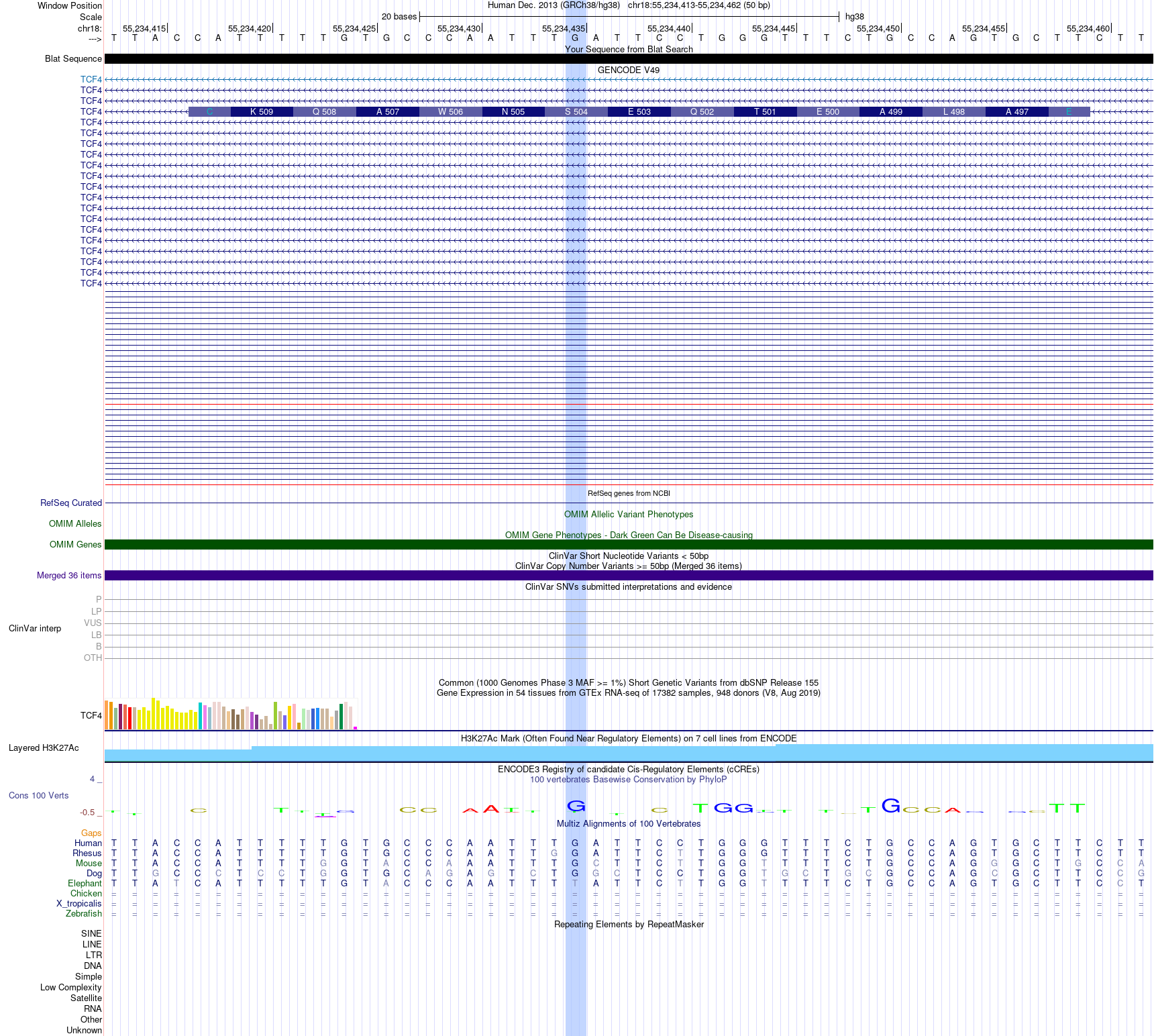 TCF4 variant in a non-conserved exon on hg38