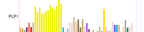 GTEx tissue-expression barchart for PLP1